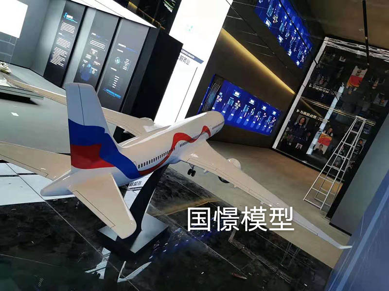 中江县飞机模型